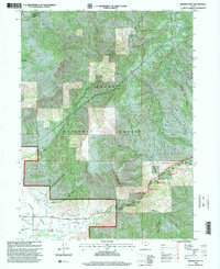 Browns Hole 1998 topographic map thumbnail