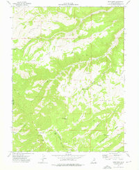 Bruin Point 1972 topographic map thumbnail