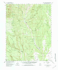 Brushy Basin Wash topographic map thumbnail
