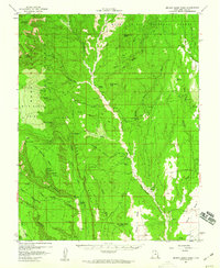 Brushy Basin Wash 1957 topographic map thumbnail