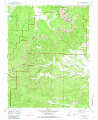 Bryce Point 1966 topographic map thumbnail