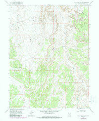 Buck Camp Canyon 1968 topographic map thumbnail