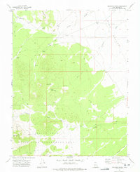 Buckhorn Spring 1972 topographic map thumbnail