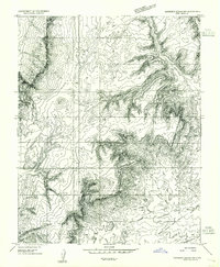 Buckskin Gulch NW topographic map thumbnail