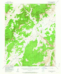 Buckskin Mtn topographic map thumbnail