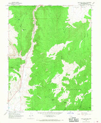 Bull Rush Peak 1966 topographic map thumbnail