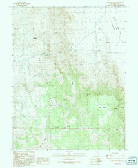 Bullgrass Knoll 1991 topographic map thumbnail