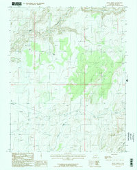 Burnt Spring 1987 topographic map thumbnail