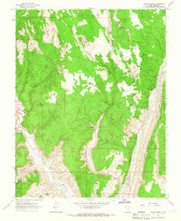 Calico Peak 1964 topographic map thumbnail