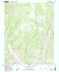 Calico Peak 1964 topographic map thumbnail