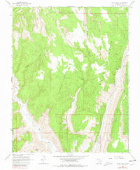 Calico Peak 1964 topographic map thumbnail