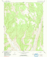 Calico Peak 1964 topographic map thumbnail