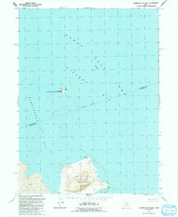 Carrington Island 1991 topographic map thumbnail
