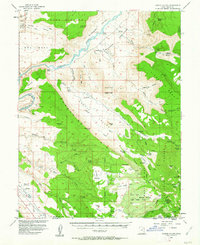 Castle Valley 1954 topographic map thumbnail