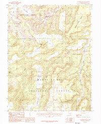 Cathedral Butte 1985 topographic map thumbnail