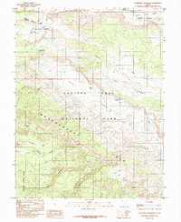 Cathedral Mountain 1985 topographic map thumbnail