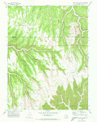 Cedar Camp Canyon 1970 topographic map thumbnail