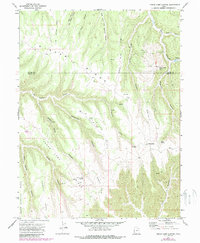 Cedar Camp Canyon 1970 topographic map thumbnail