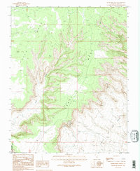 Cedar Mesa South 1989 topographic map thumbnail