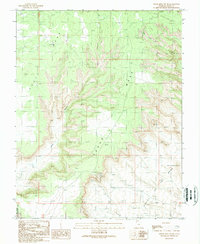 Cedar Mesa South 1989 topographic map thumbnail