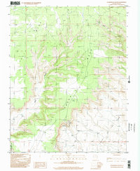 Cedar Mesa South 1996 topographic map thumbnail