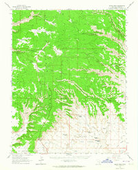Cedar Mesa topographic map thumbnail