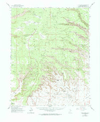 Cedar Mesa 1963 topographic map preview