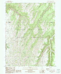Checken Fork topographic map thumbnail