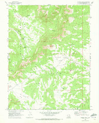 Chimney Rock 1969 topographic map thumbnail