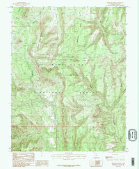 Chippean Rocks 1985 topographic map thumbnail