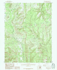 Chippean Rocks 1985 topographic map thumbnail