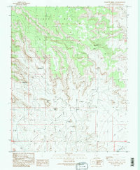 Cigarette Spring Cave 1989 topographic map preview