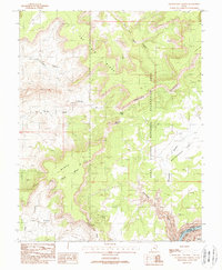 Clearwater Canyon 1988 topographic map thumbnail