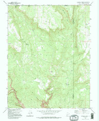 Cogswell Point 1980 topographic map thumbnail