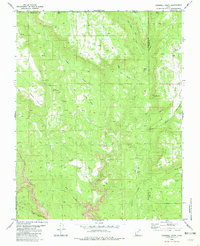 Cogswell Point 1980 topographic map thumbnail
