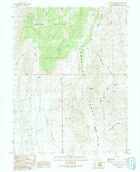 Conger Mountain 1991 topographic map thumbnail