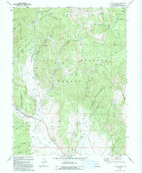 Co-Op Creek 1993 topographic map thumbnail