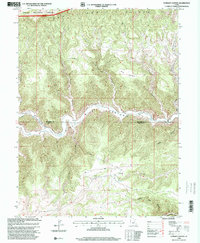 Currant Canyon 1996 topographic map thumbnail