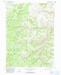 Dairy Ridge 1991 topographic map thumbnail