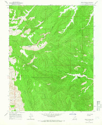 Death Ridge 1964 topographic map thumbnail