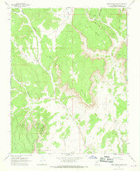 Deer Spring Point 1966 topographic map thumbnail