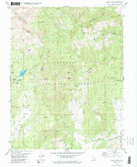 Delano Peak 1981 topographic map thumbnail