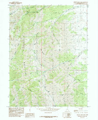 Deseret Peak East 1985 topographic map thumbnail