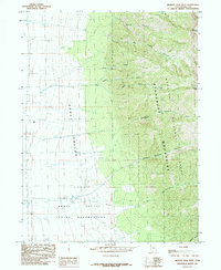 Deseret Peak West 1985 topographic map thumbnail