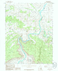 Dewey 1985 topographic map thumbnail