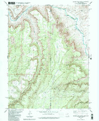 Dolores Point North 1985 topographic map thumbnail