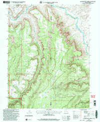 Dolores Point North topographic map thumbnail