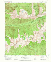 Dromedary Peak 1955 topographic map thumbnail