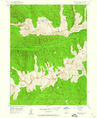 Dromedary Peak 1955 topographic map thumbnail