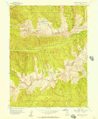 Dromedary Peak 1955 topographic map thumbnail
